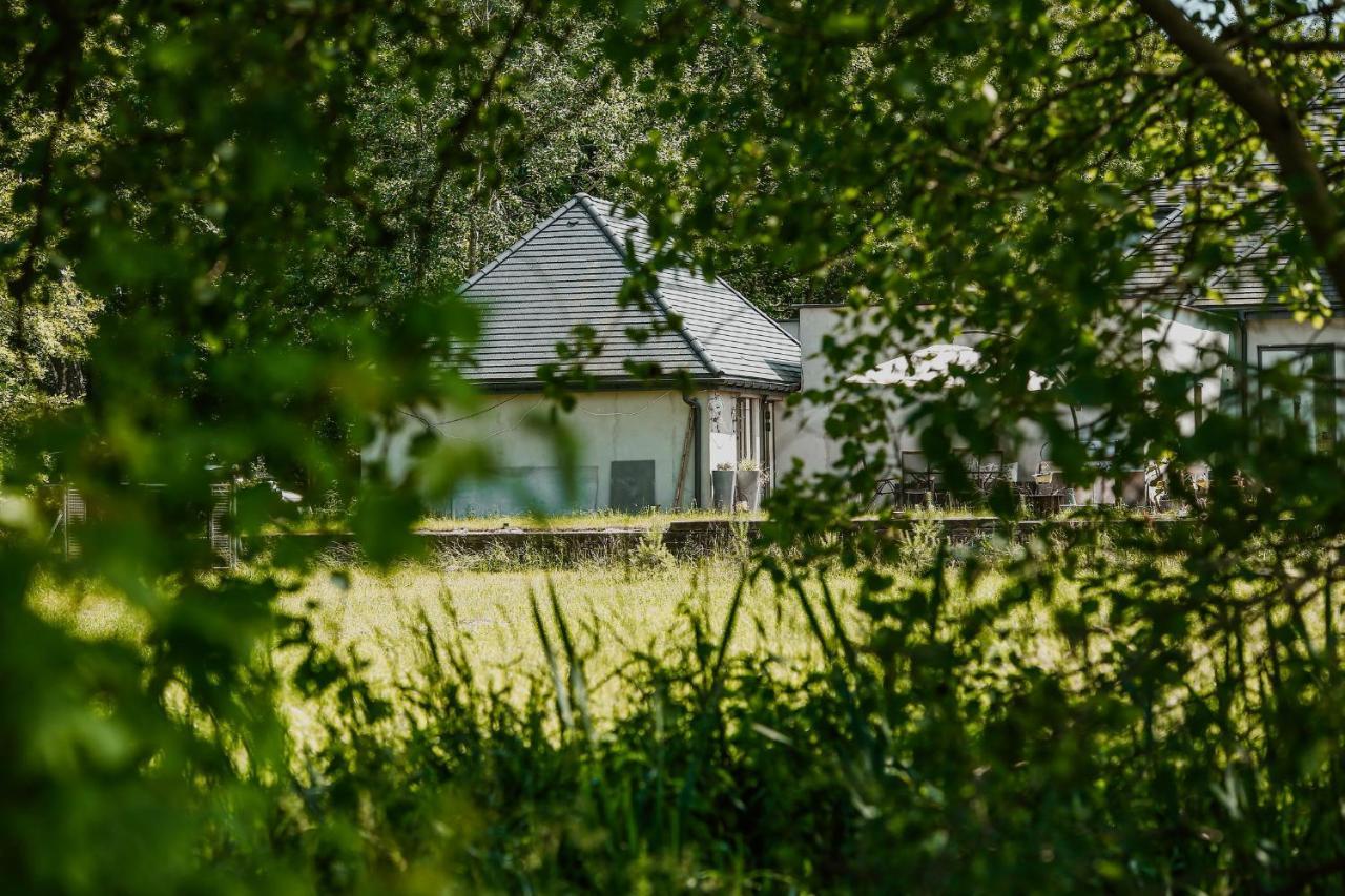 Nature House ชิชเชนา ภายนอก รูปภาพ